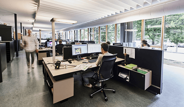 История - ZIMM | 2025